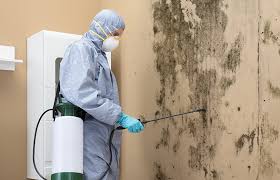 Best Basement Mold Removal  in Artesia, NM